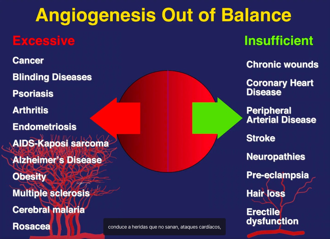 Angiogénesis