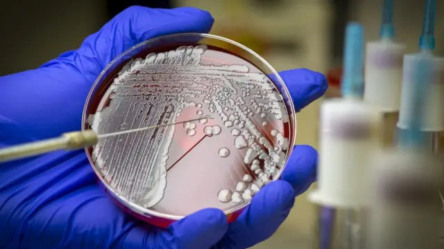 IAs nos dan 12.000 nuevos posibles antibióticos