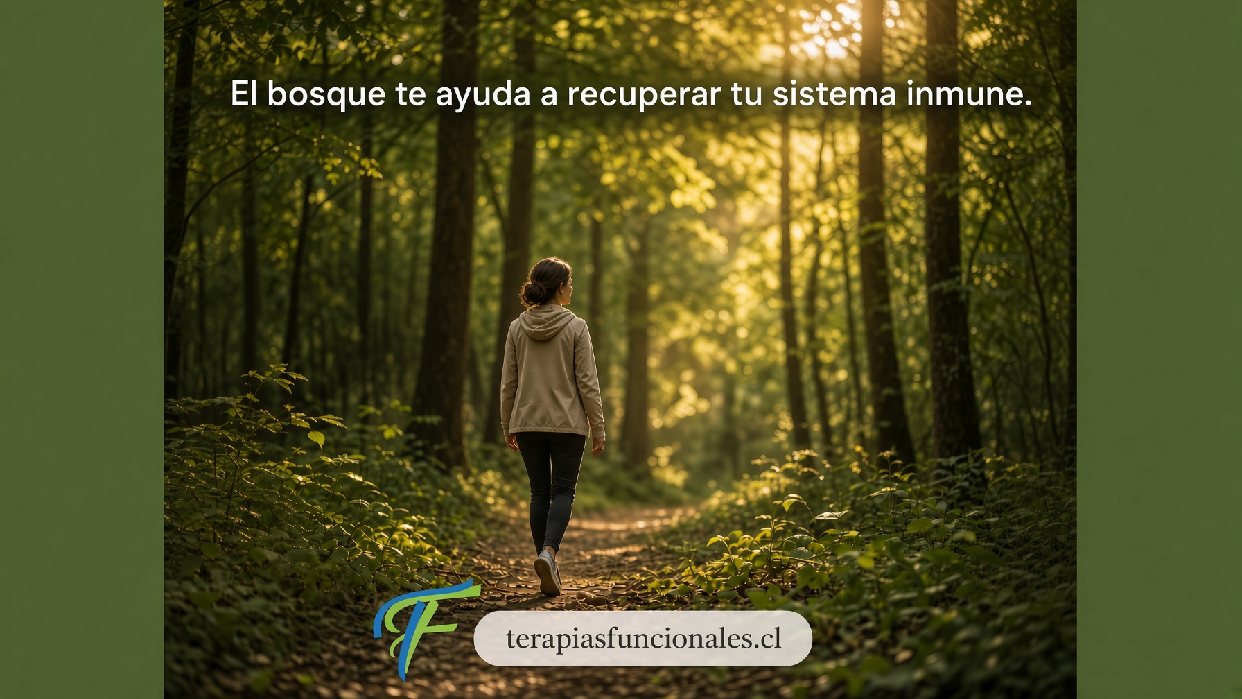 El bosque te ayuda a recuperar tu sistema inmune