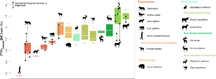 Dieta Carnívora de los neandertales europeos