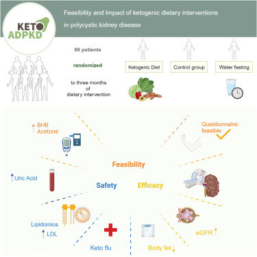 Enfermedad renal poliquística y KETO DIET