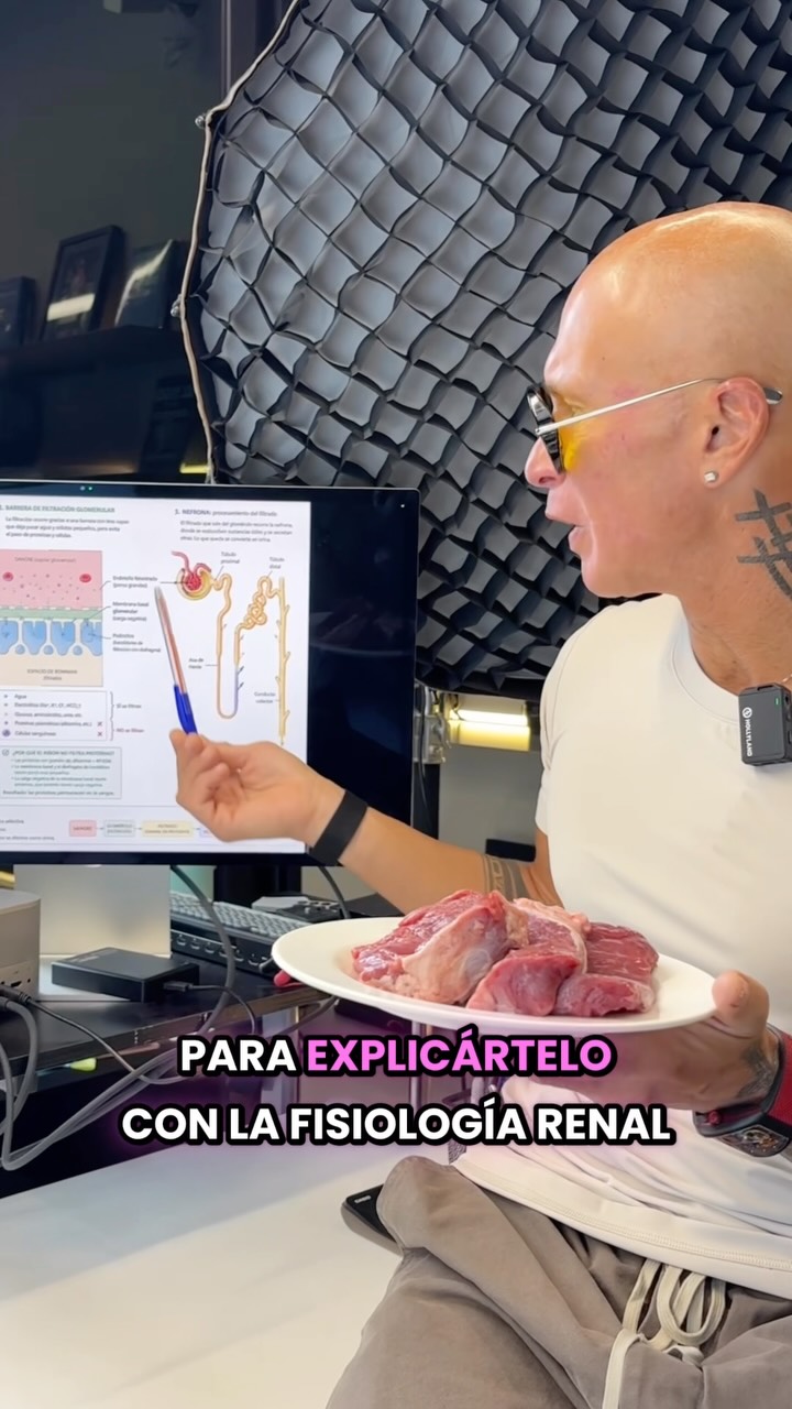 Fisiología renal y consumo de carne roja